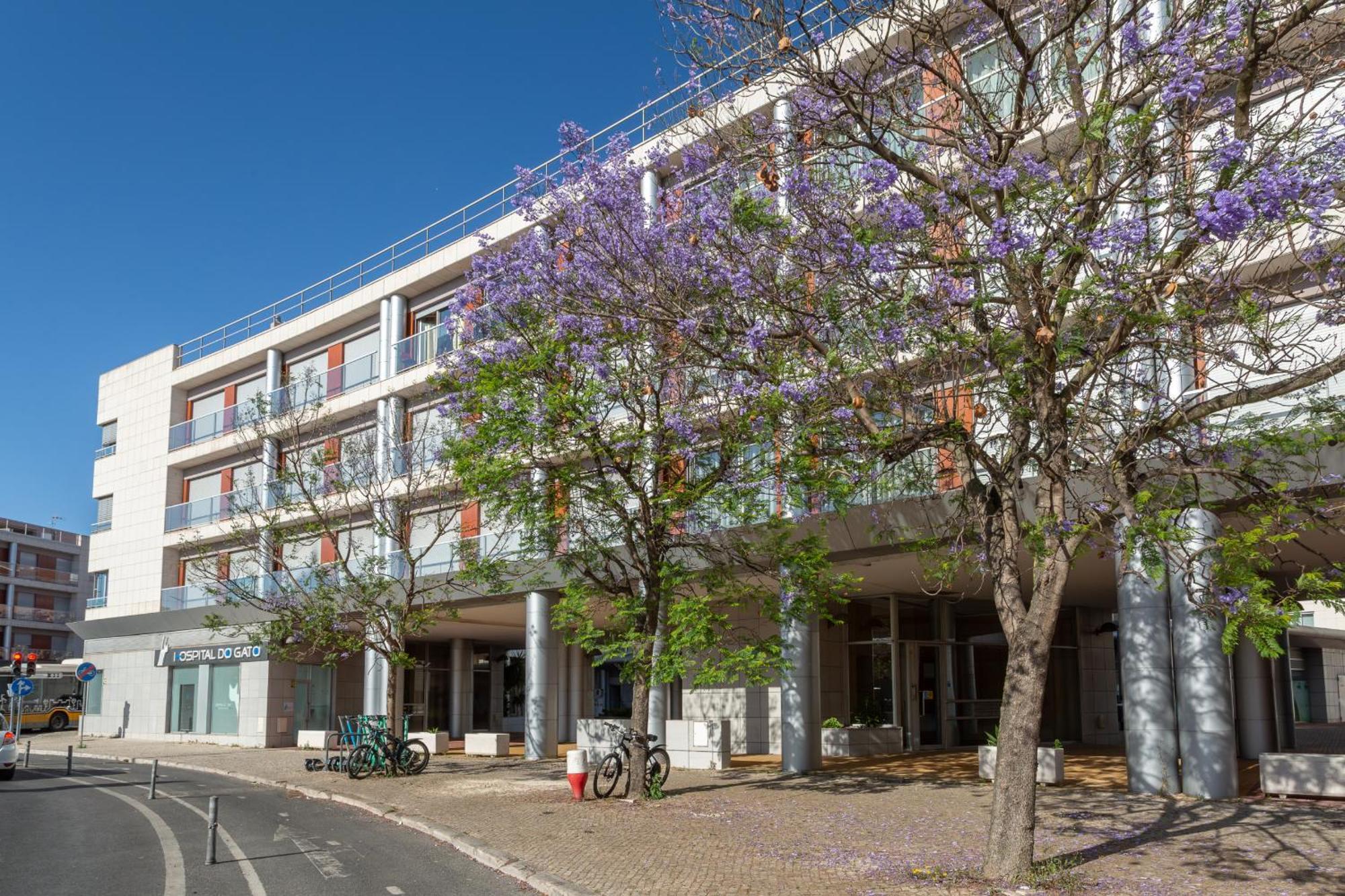 Beguest Premium Lisbon Suites ภายนอก รูปภาพ